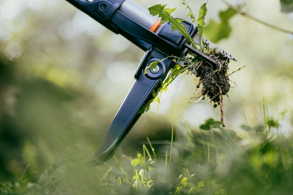 Weedpuller von Fiskars in einem Garten